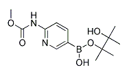 2-methoxycarbonylaminopyridine-5-boronic acid, pinacol ester